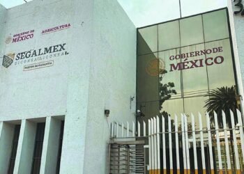 Sales Up, señalada por su relación en el caso  Segalmex, va por nuevos contratos de gobierno
