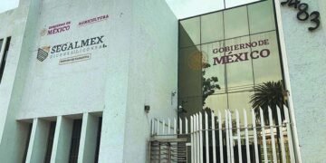 Sales Up, señalada por su relación en el caso  Segalmex, va por nuevos contratos de gobierno