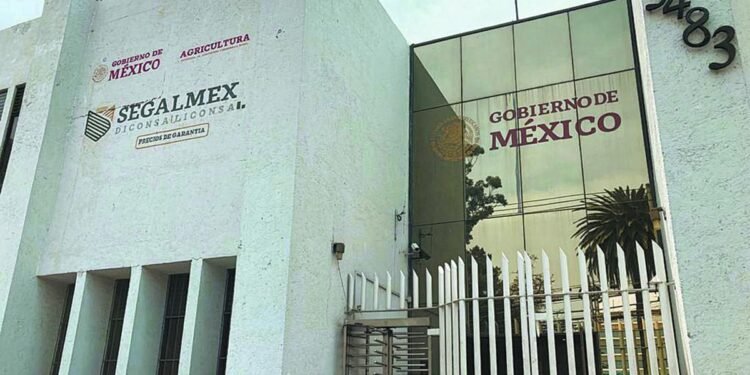 Sales Up, señalada por su relación en el caso  Segalmex, va por nuevos contratos de gobierno