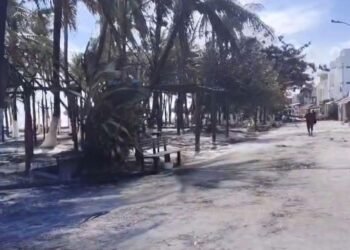 Descartan afectación turística por incendio en Mahahual; piden mejor respuesta a emergencias