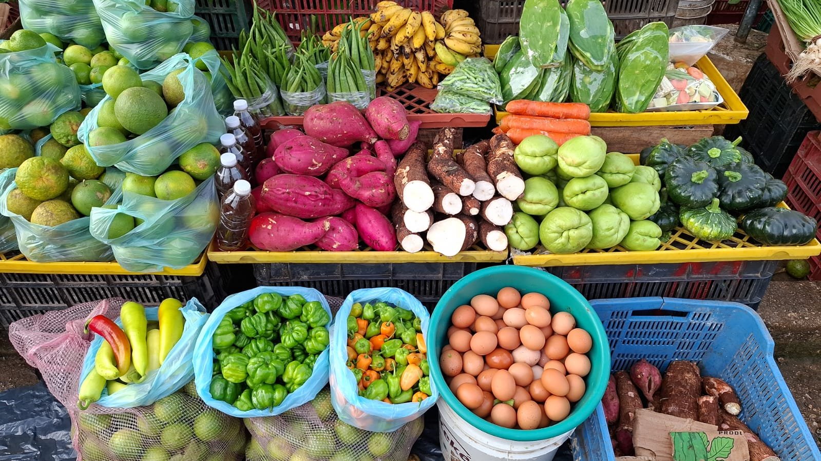 Nutriólogos impulsan regreso a la dieta ancestral para mejorar la salud