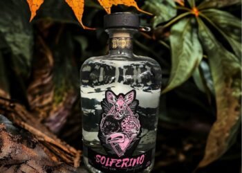 De la selva maya al mundo: ginebra artesanal conquista mercados internacionales