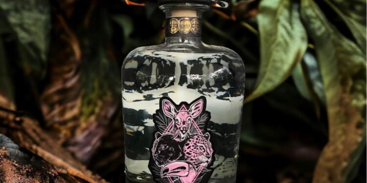 De la selva maya al mundo: ginebra artesanal conquista mercados internacionales