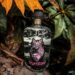 De la selva maya al mundo: ginebra artesanal conquista mercados internacionales