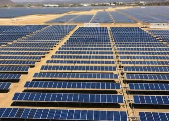 Preparan parque solar para transporte público eléctrico de Chetumal