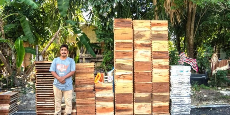 Impulsan 10 proyectos apícolas en Champotón