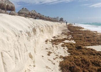 Defiende Sema nuevo plan de rescate de playas