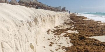 Defiende Sema nuevo plan de rescate de playas