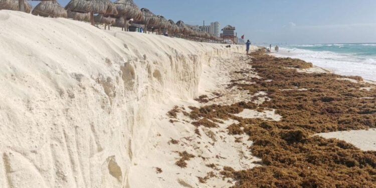 Defiende Sema nuevo plan de rescate de playas
