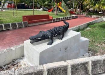 Parque de los Caimanes