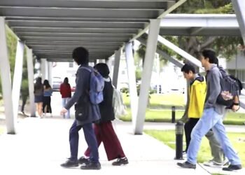 Mahahual tendrá universidad virtual para retener a su talento local