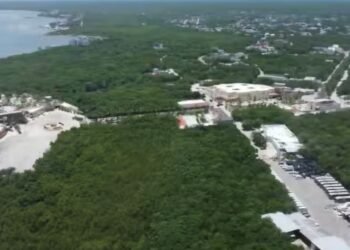 Royal Caribbean navega en silencio tras freno judicial a “Perfect Day” en Mahahual