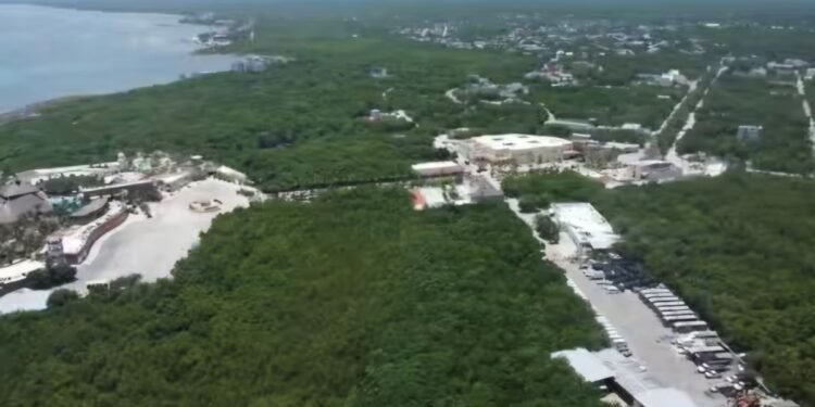 Royal Caribbean navega en silencio tras freno judicial a “Perfect Day” en Mahahual