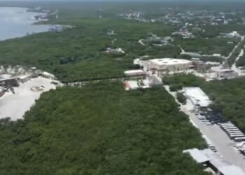 Respaldo a “Perfect Day” desde Instituciones y organismos ciudadanos