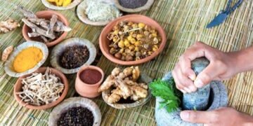 Medicina maya: parteras de Tihosuco transforman plantas en medicina ancestral
