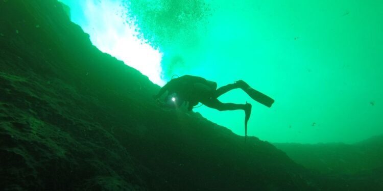 Agujeros azules en la bahía de Chetumal son un imán científico y turístico