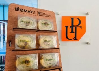 ¿Te bañarías con un jabón de sargazo? Comunidades mayas aprovechan esta alga