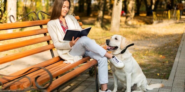 Congreso del estado analiza reformas contra la discriminación de animales de apoyo emocional