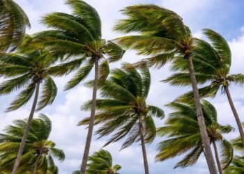 Se relajan las lluvias, pero seguirá el viento este fin de semana en Quintana Roo