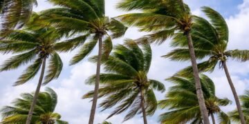Se relajan las lluvias, pero seguirá el viento este fin de semana en Quintana Roo
