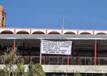 Difunden mantas contra “therians” en comunidades de Oaxaca; piden postura oficial