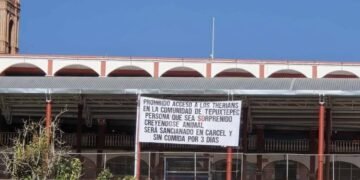 Difunden mantas contra “therians” en comunidades de Oaxaca; piden postura oficial