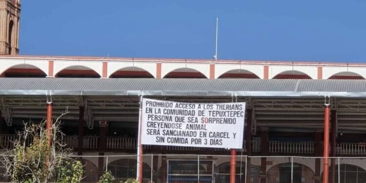 Difunden mantas contra “therians” en comunidades de Oaxaca; piden postura oficial
