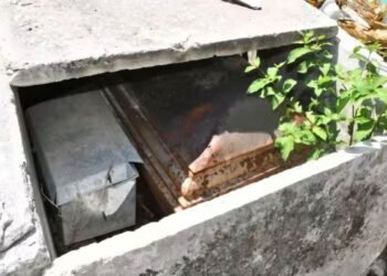 Abandono total. En el olvido 4 mil tumbas del panteón municipal