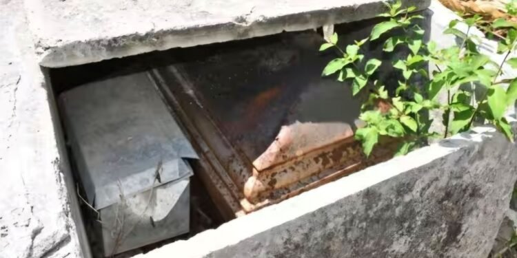 Abandono total. En el olvido 4 mil tumbas del panteón municipal