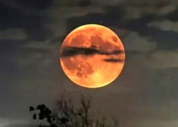 Preparan telescopios en lugares públicos para ver el eclipse lunar de este 3 de marzo