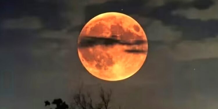 Preparan telescopios en lugares públicos para ver el eclipse lunar de este 3 de marzo