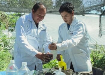 De la extinción a la esperanza: así salva la UNAM a la biznaga barril de acitrón y la cocina tradicional