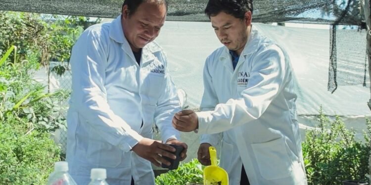 De la extinción a la esperanza: así salva la UNAM a la biznaga barril de acitrón y la cocina tradicional