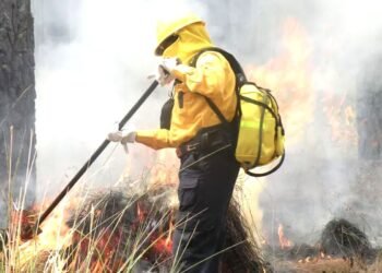 Alerta por calor extremo que perfila una crítica temporada de incendios forestales 2026