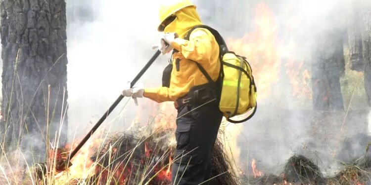 Alerta por calor extremo que perfila una crítica temporada de incendios forestales 2026