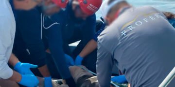 Redes no los vencen: rescatan a cinco lobos marinos en Baja California Sur