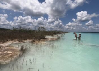 Mito frena el rescate de Bacalar; investigadora advierte riesgo ecológico