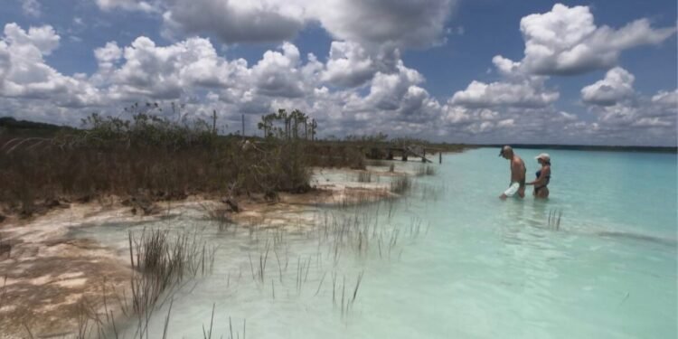 Mito frena el rescate de Bacalar; investigadora advierte riesgo ecológico