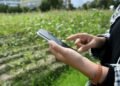 La brecha digital en zonas rurales limita el registro de productores ante la Sedarpe