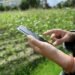 La brecha digital en zonas rurales limita el registro de productores ante la Sedarpe