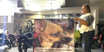 Detenidos por el caso del crematorio Xibalbá podrían quedar en libertad