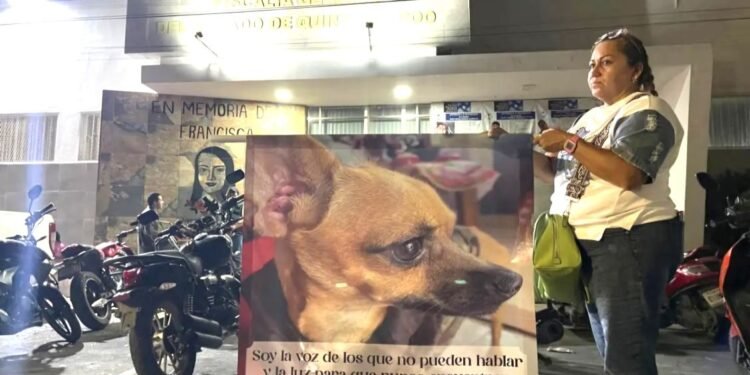 Detenidos por el caso del crematorio Xibalbá podrían quedar en libertad