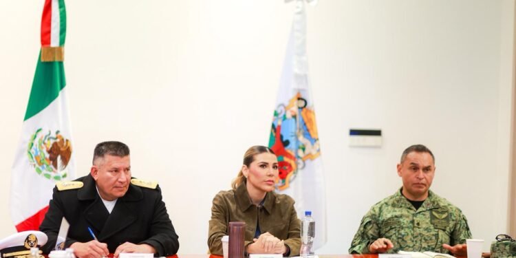 Operativo quirúrgico desmantela banda criminal y suma 24 células neutralizadas en Baja California