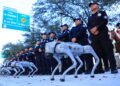 Seguridad 2.0: perros robot toman la delantera en los preparativos rumbo al Mundial FIFA 2026