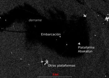 Derrame en el Golfo de México: CEMDA acusa silencio oficial y respuesta tardía