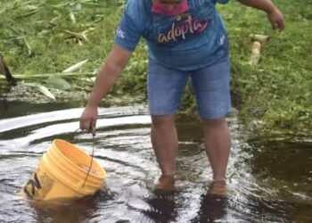 Peligra sector agropecuario ante prohibición de uso del agua potable en zona limítrofe