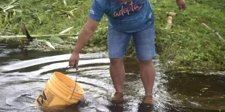 Peligra sector agropecuario ante prohibición de uso del agua potable en zona limítrofe