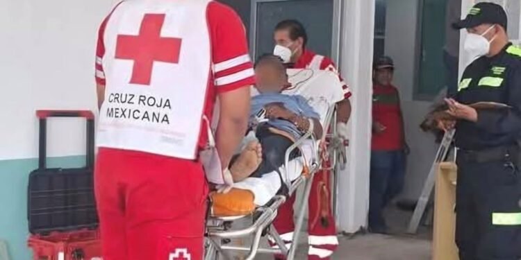 Cocodrilo ataca a pescador en comunidad de la zona maya. Esto fue lo que pasó