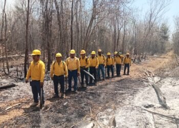 Inicia temporada crítica de incendios en Quintana Roo con 21 hectáreas afectadas