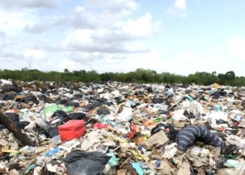 Requiere Costa Maya 140 millones de pesos para sanear basurero a cielo abierto